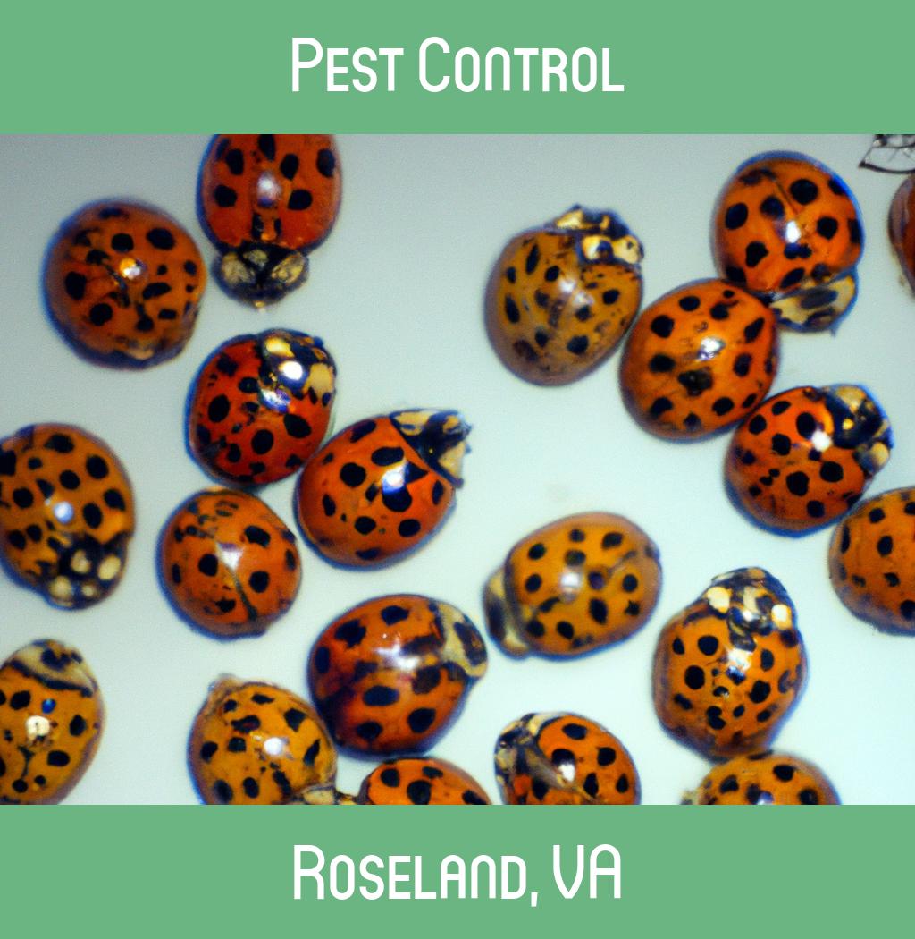 pest control in Roseland Virginia