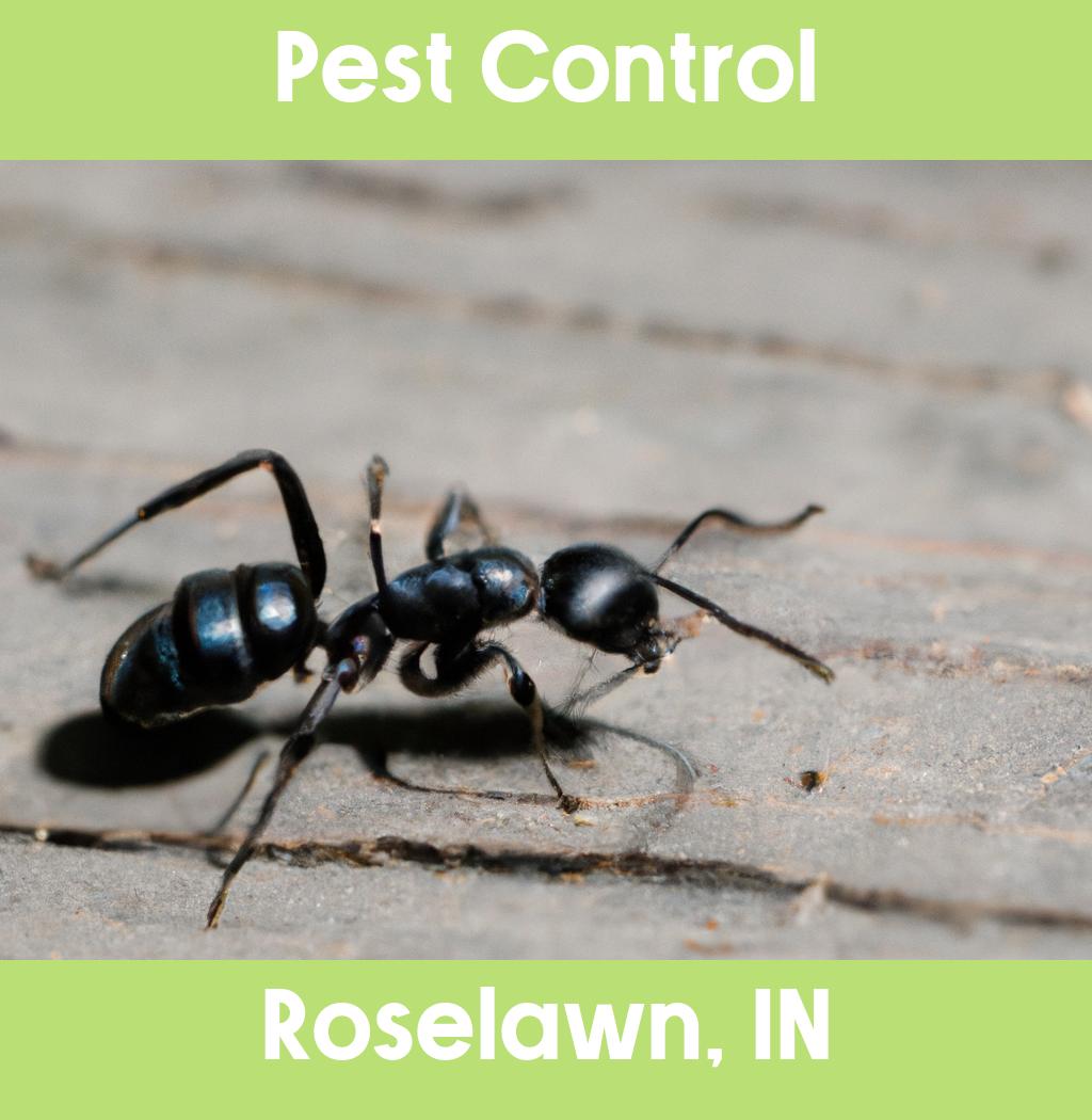 pest control in Roselawn Indiana