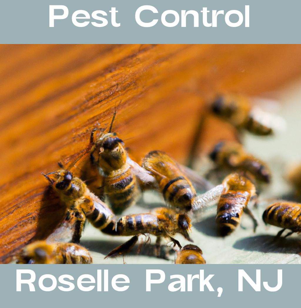 pest control in Roselle Park New Jersey