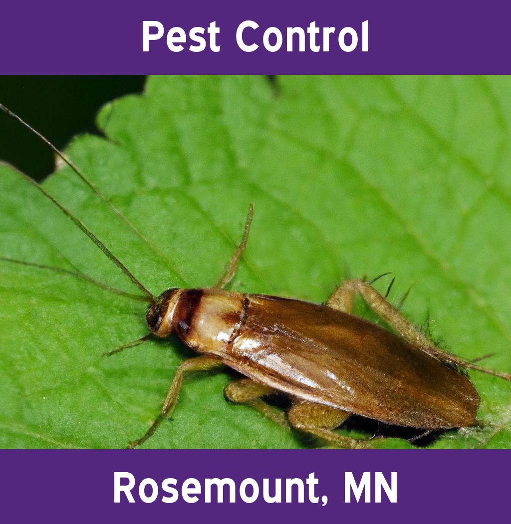 pest control in Rosemount Minnesota