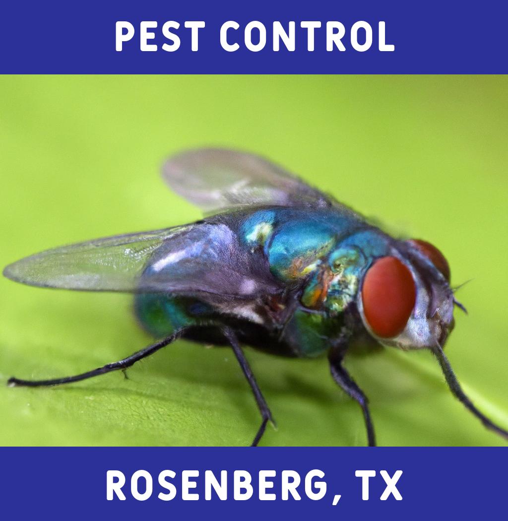 pest control in Rosenberg Texas