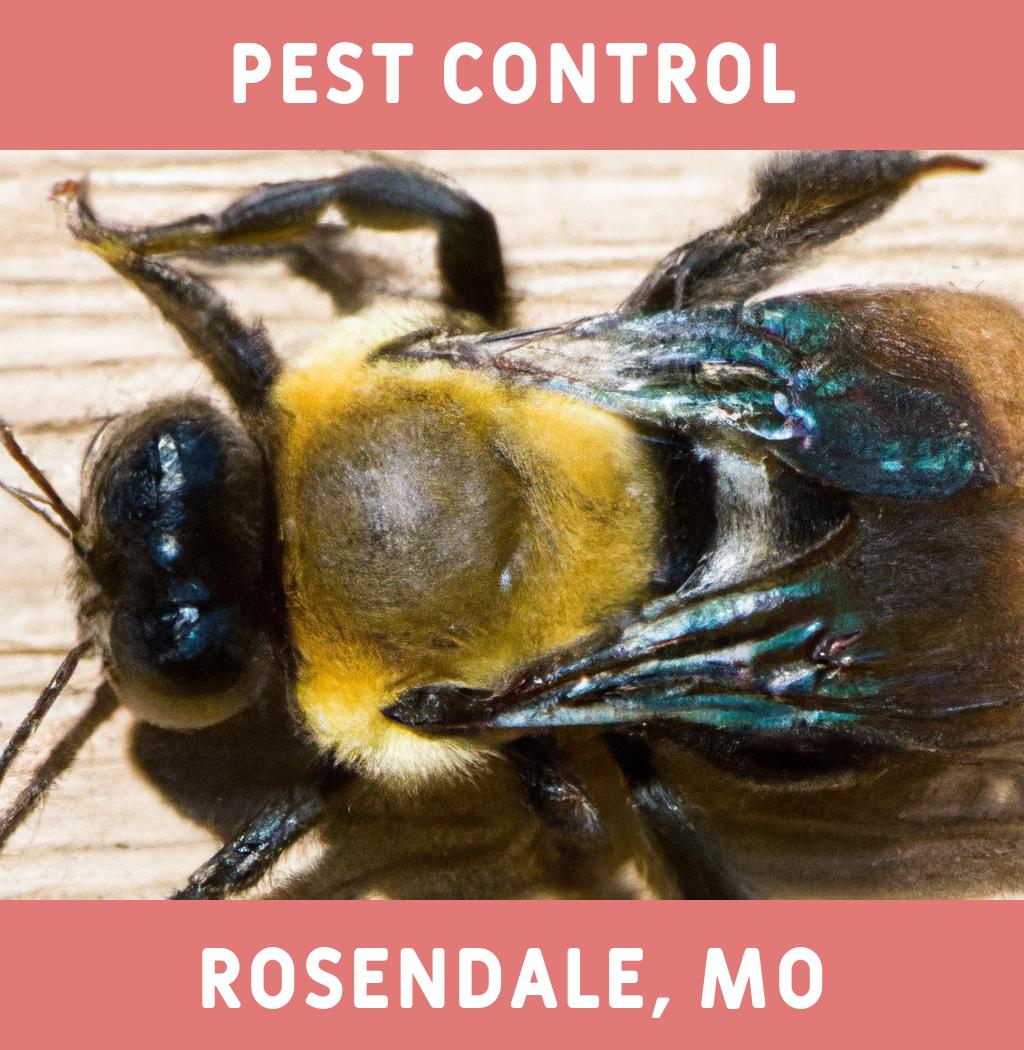 pest control in Rosendale Missouri
