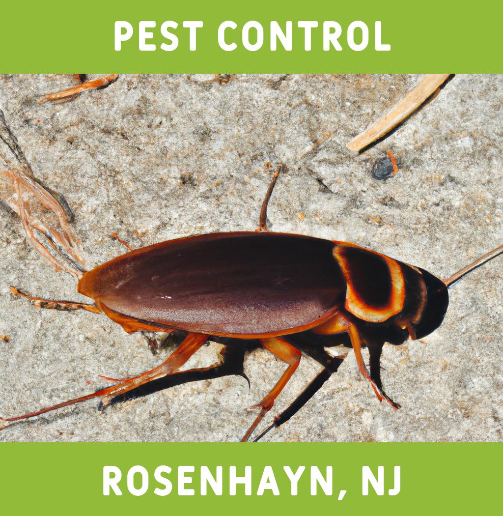 pest control in Rosenhayn New Jersey