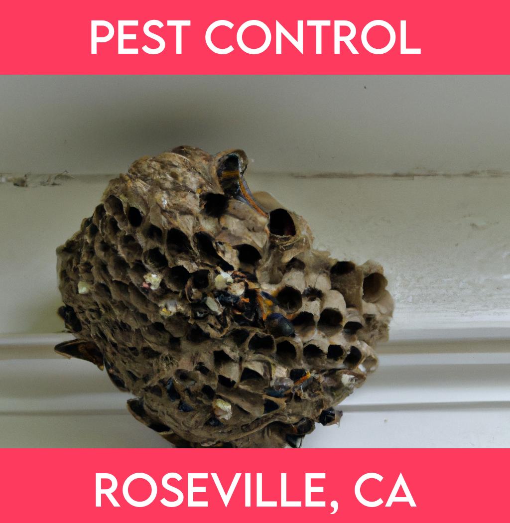 pest control in Roseville California