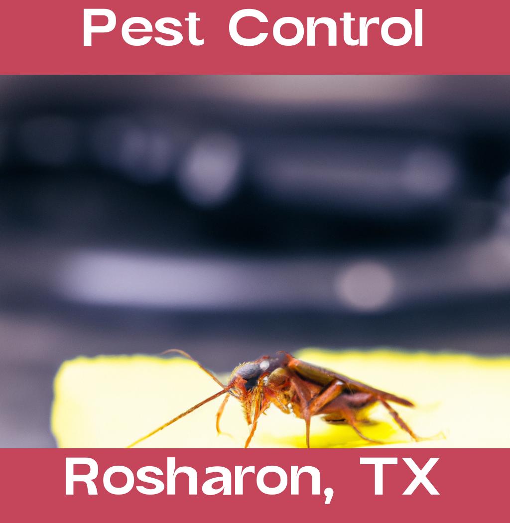 pest control in Rosharon Texas