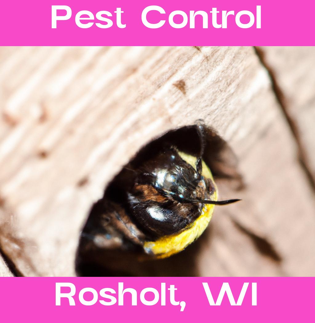 pest control in Rosholt Wisconsin