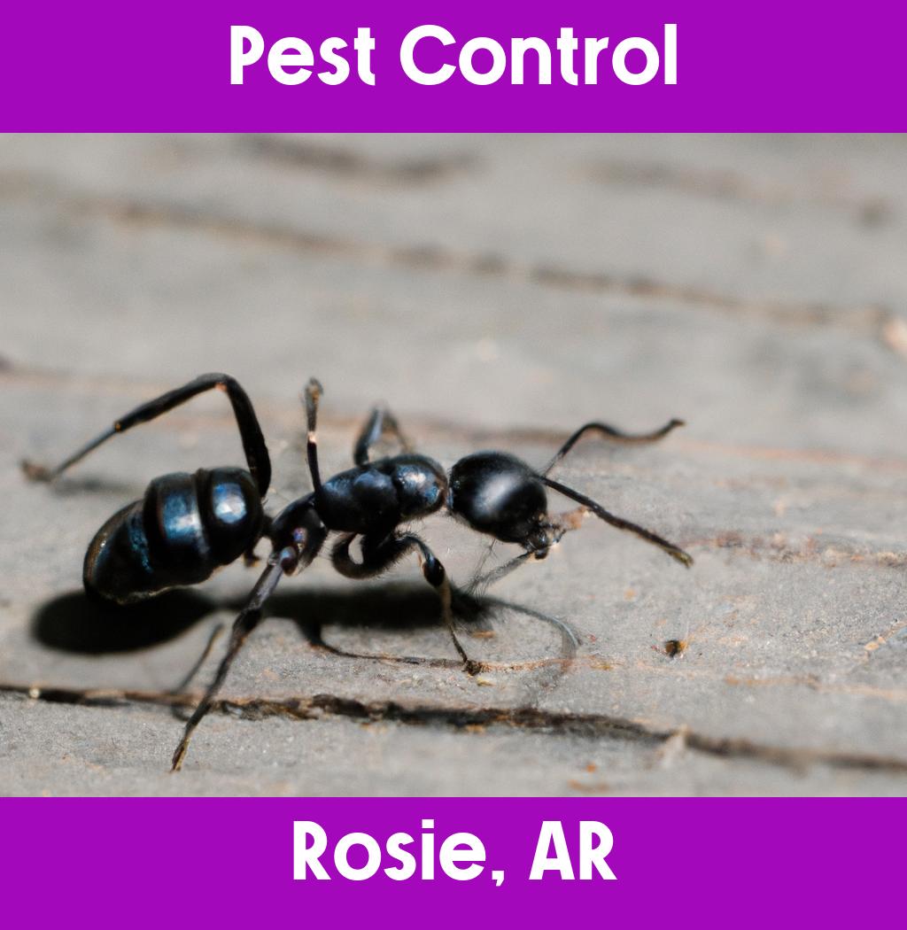 pest control in Rosie Arkansas