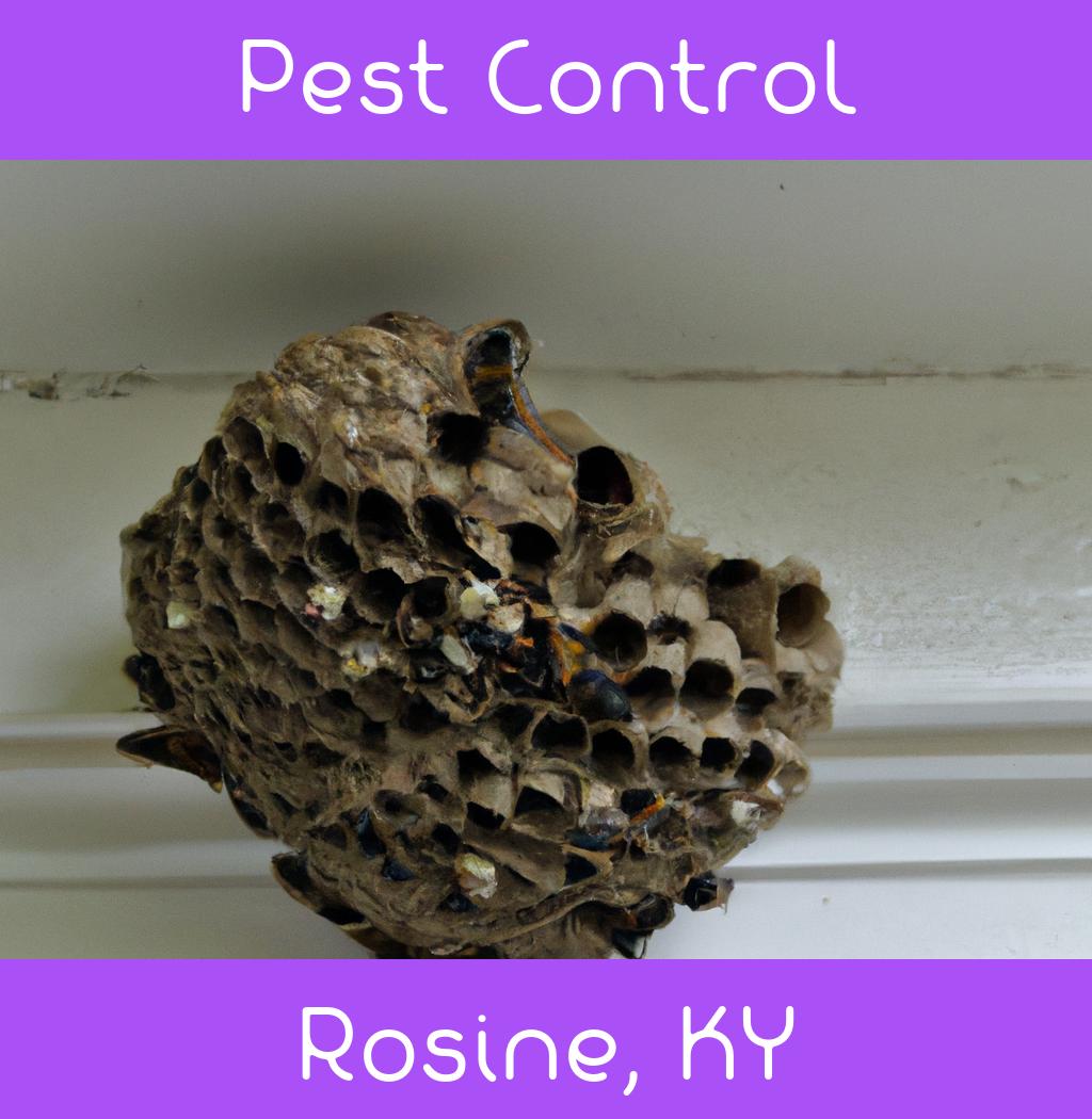 pest control in Rosine Kentucky