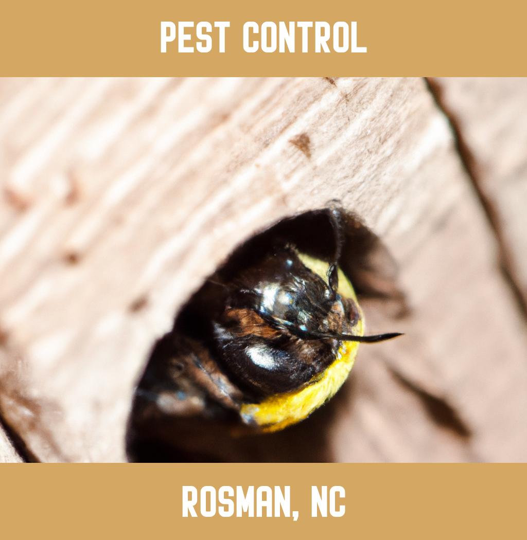 pest control in Rosman North Carolina