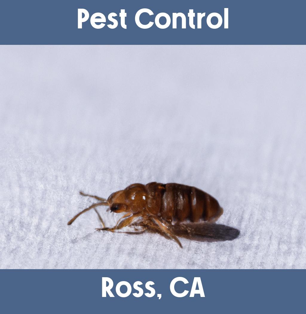 pest control in Ross California