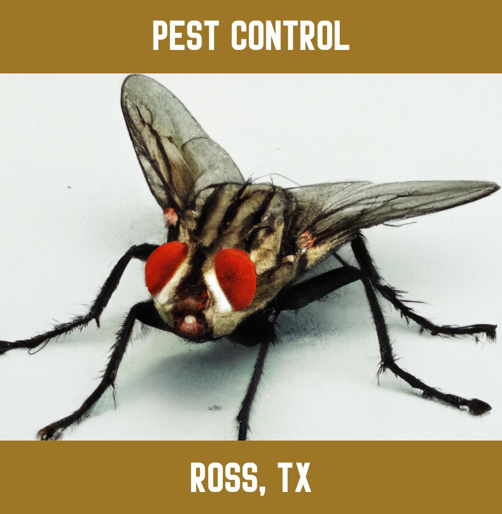 pest control in Ross Texas