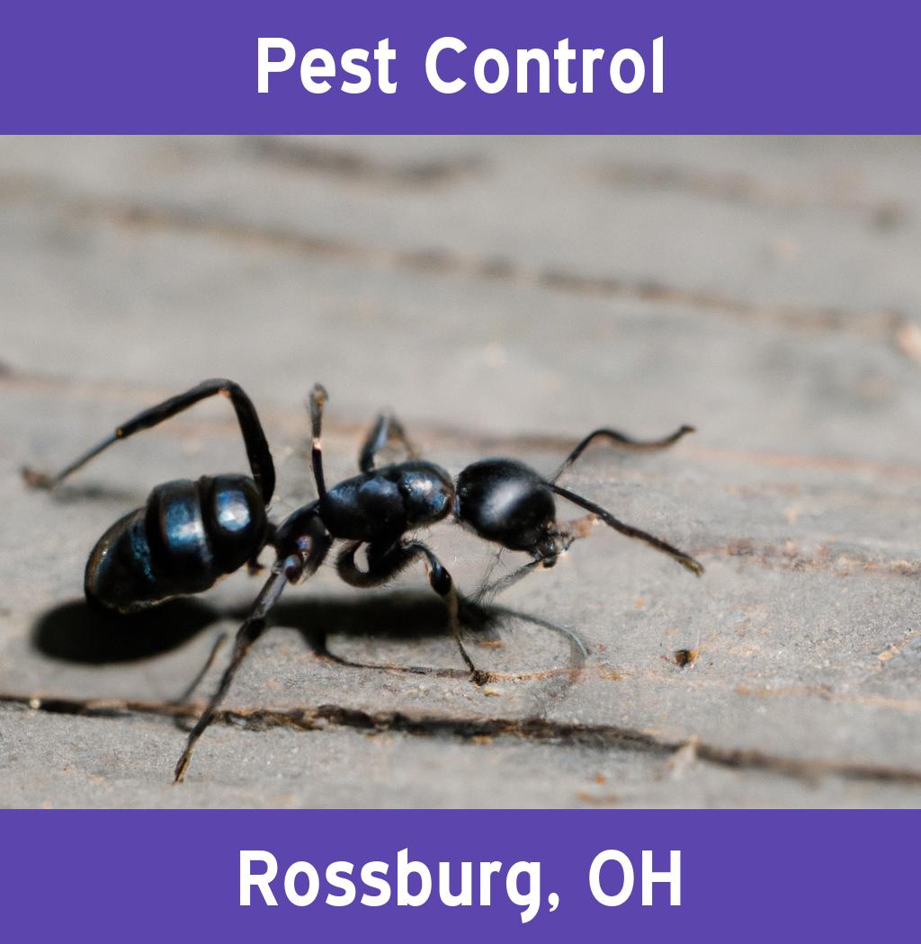 pest control in Rossburg Ohio