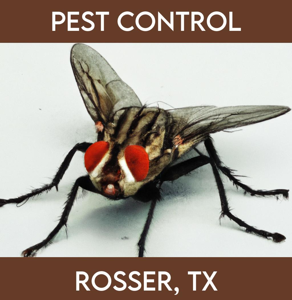 pest control in Rosser Texas