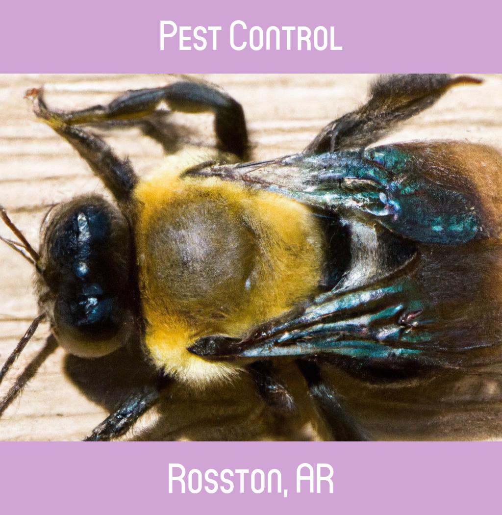 pest control in Rosston Arkansas