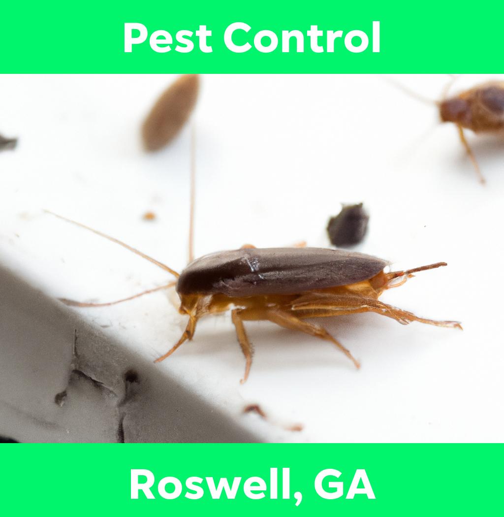 pest control in Roswell Georgia