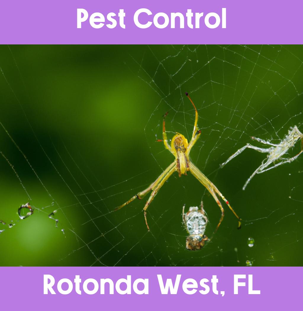 pest control in Rotonda West Florida