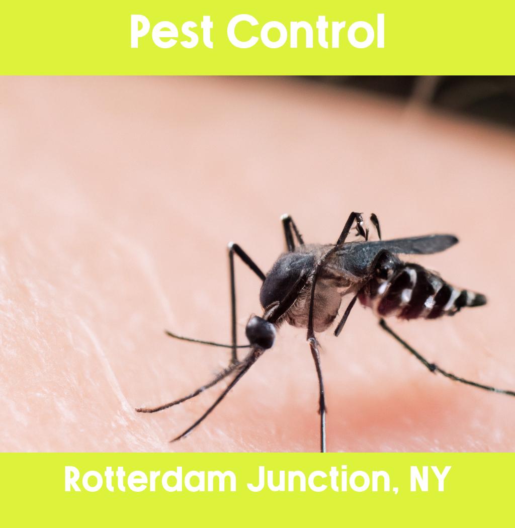 pest control in Rotterdam Junction New York