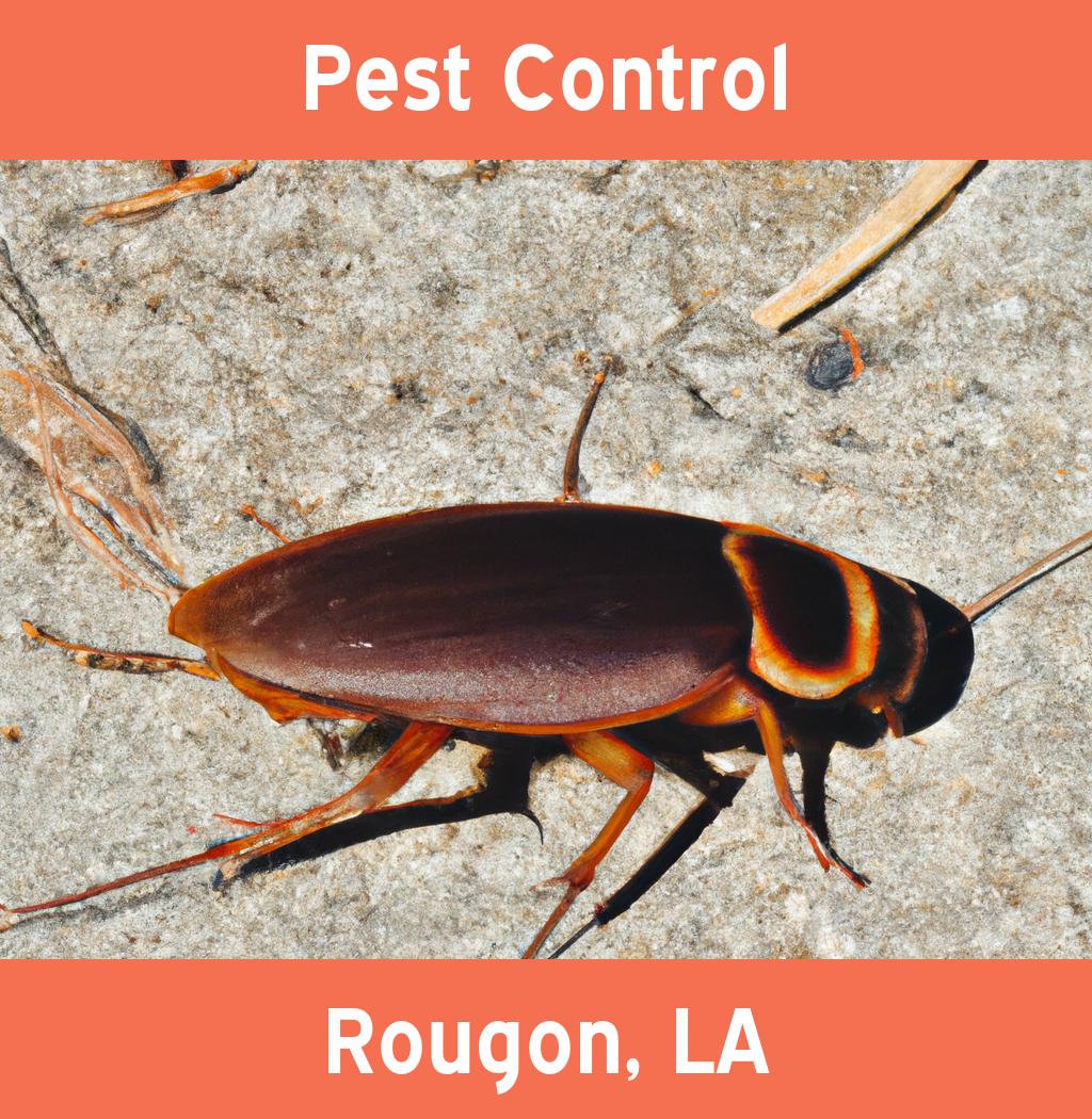 pest control in Rougon Louisiana