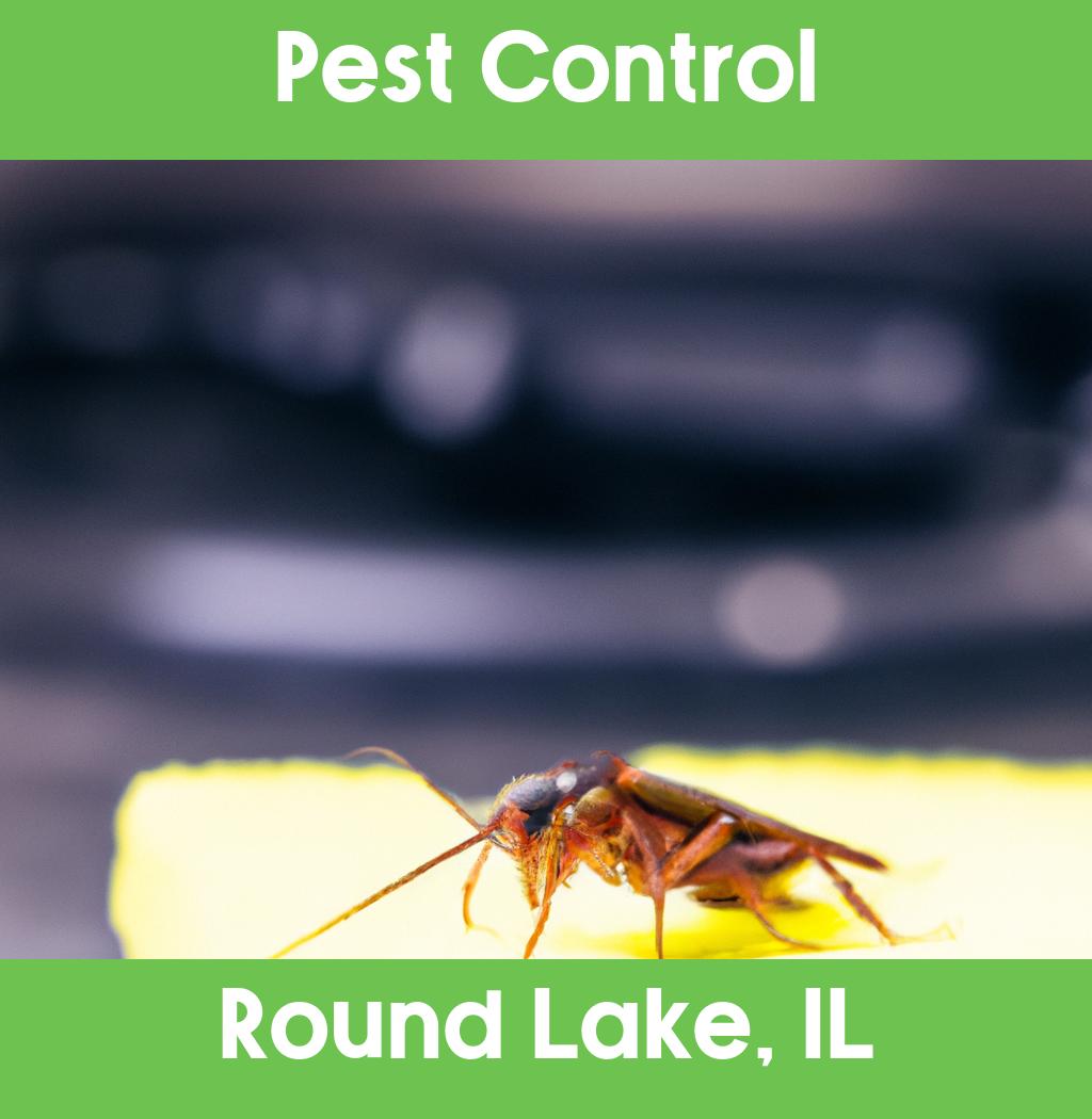 pest control in Round Lake Illinois