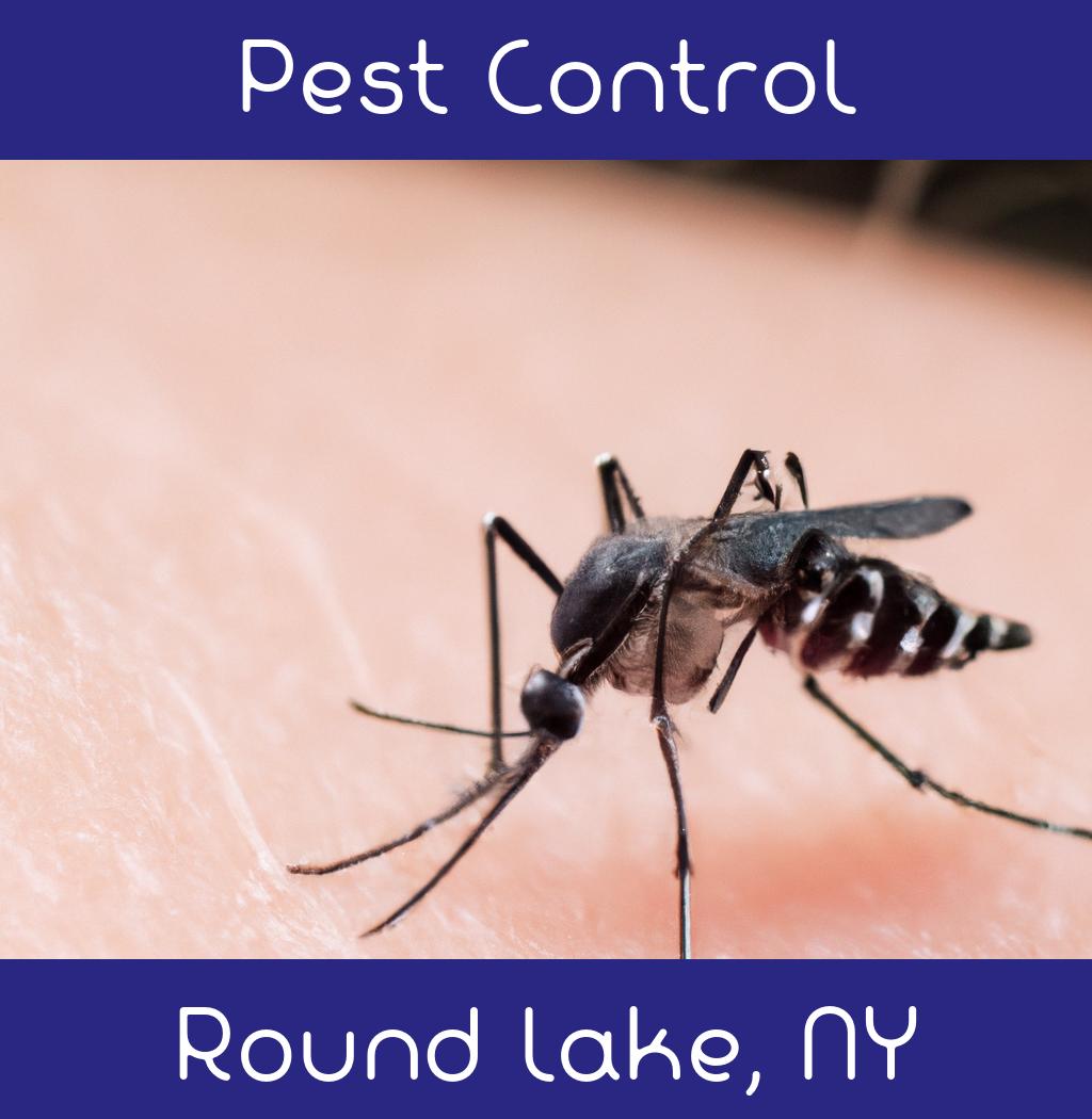 pest control in Round Lake New York