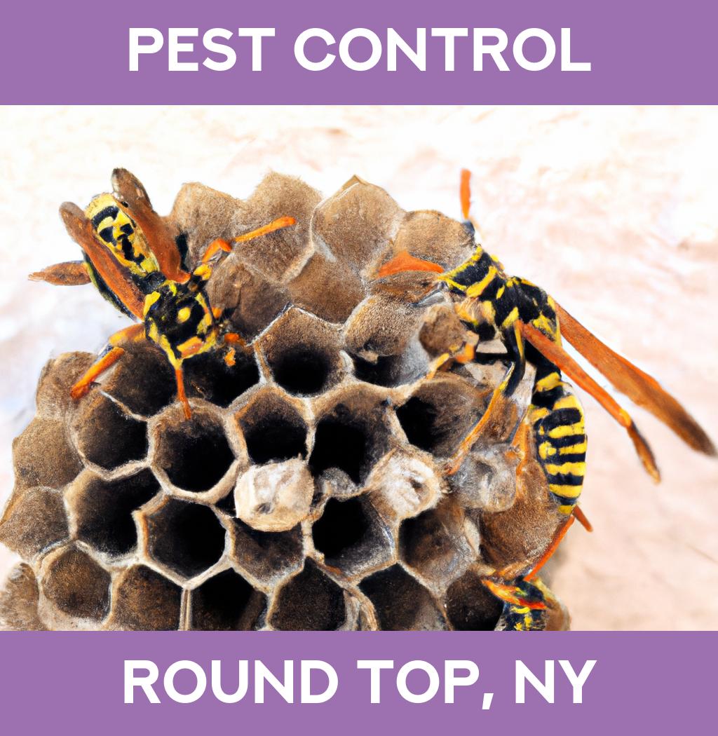 pest control in Round Top New York