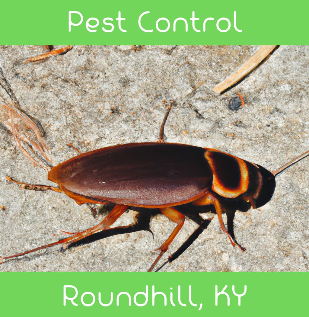 pest control in Roundhill Kentucky