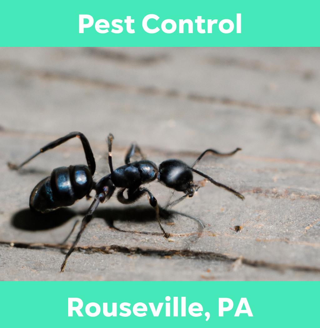 pest control in Rouseville Pennsylvania