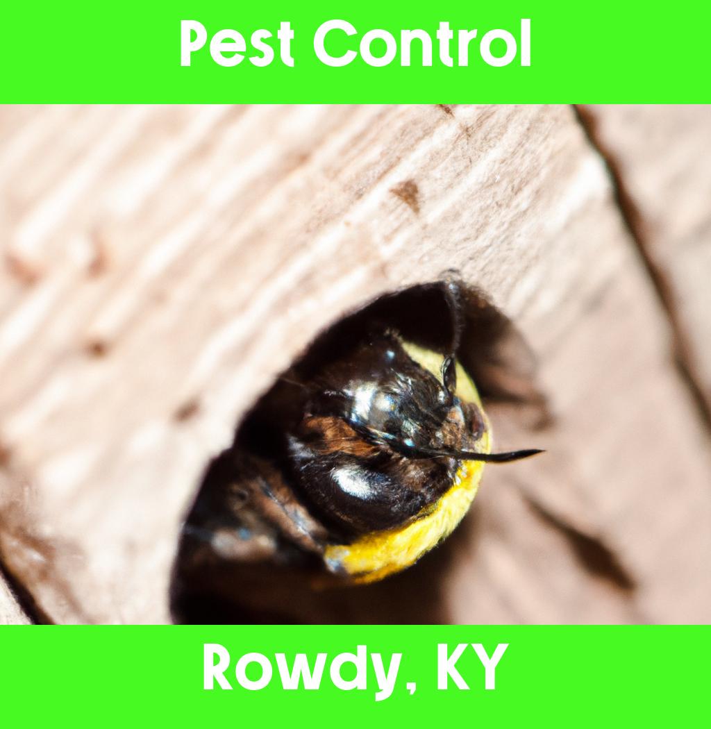 pest control in Rowdy Kentucky