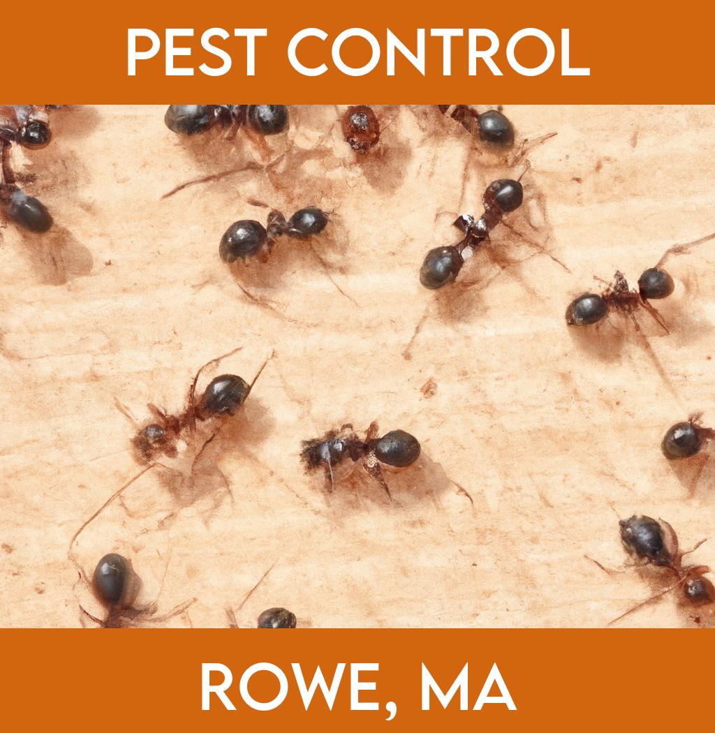 pest control in Rowe Massachusetts