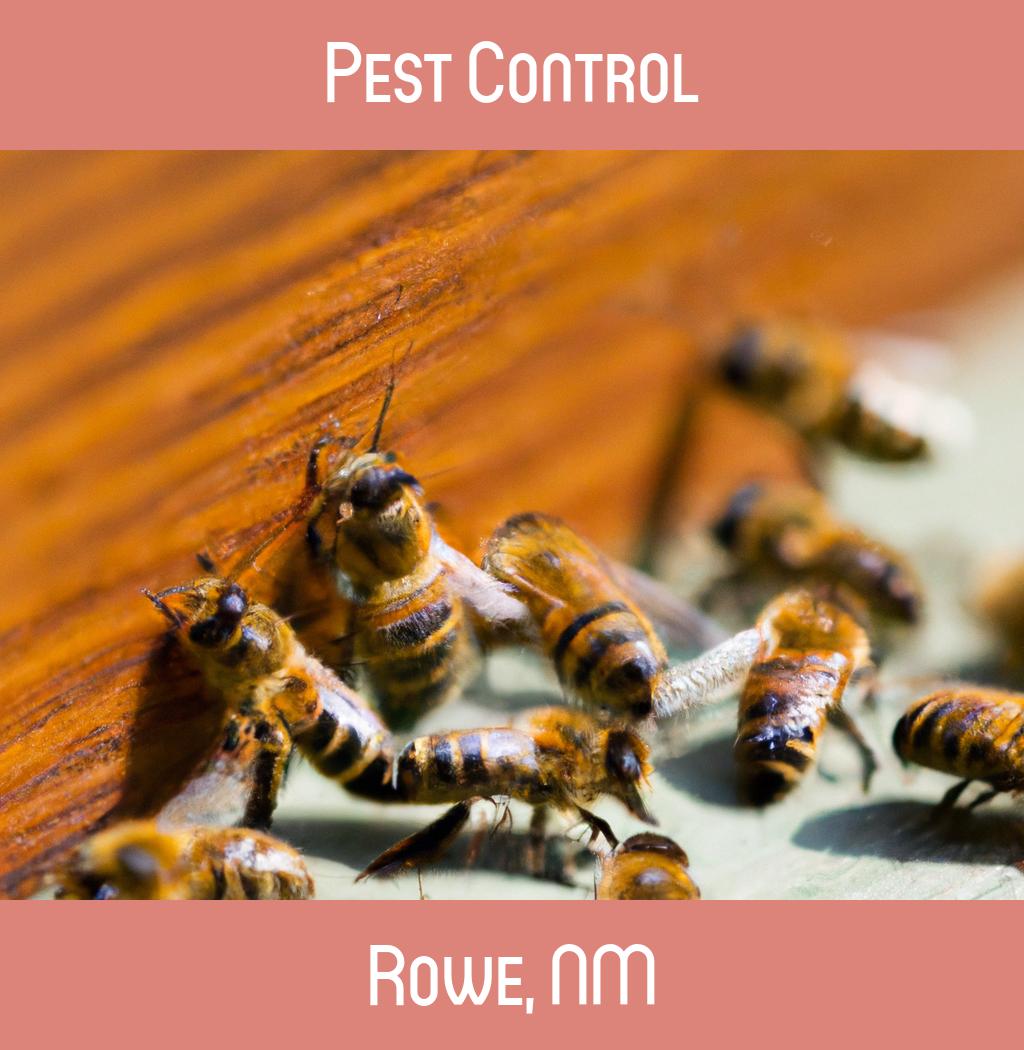 pest control in Rowe New Mexico
