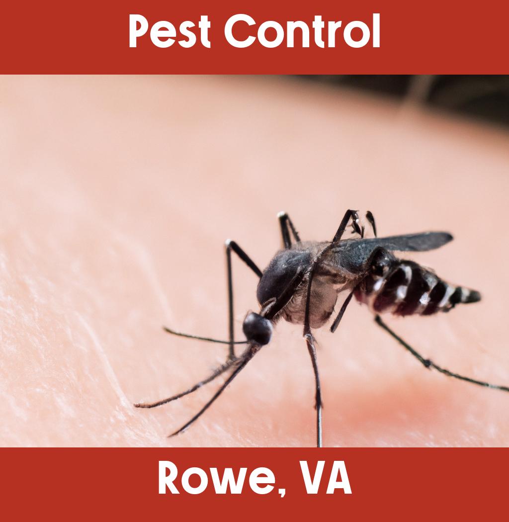 pest control in Rowe Virginia
