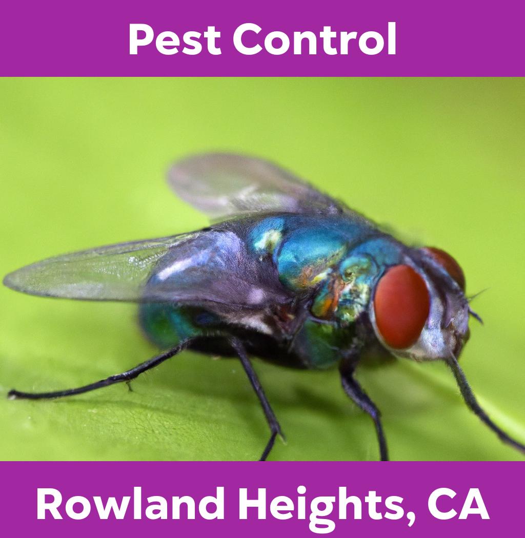 pest control in Rowland Heights California