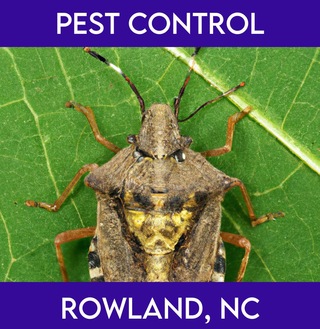 pest control in Rowland North Carolina