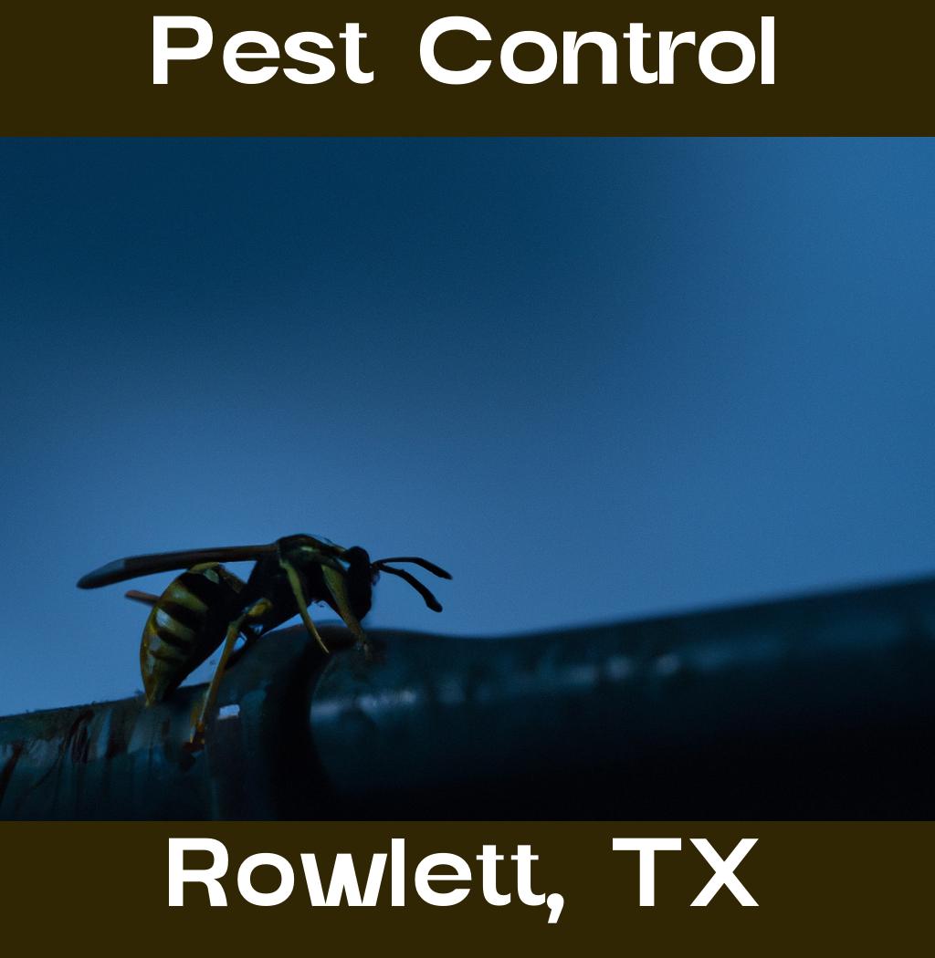 pest control in Rowlett Texas