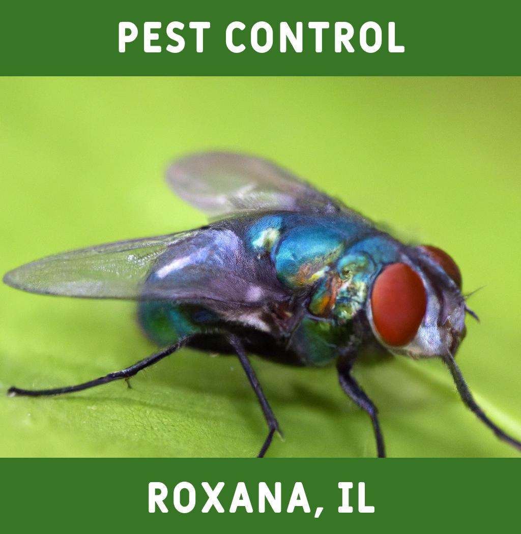 pest control in Roxana Illinois