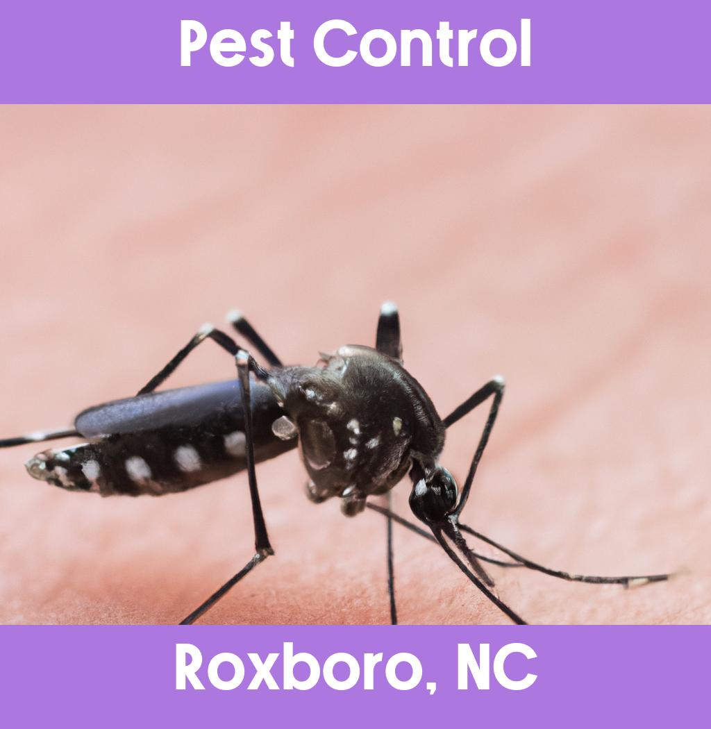 pest control in Roxboro North Carolina