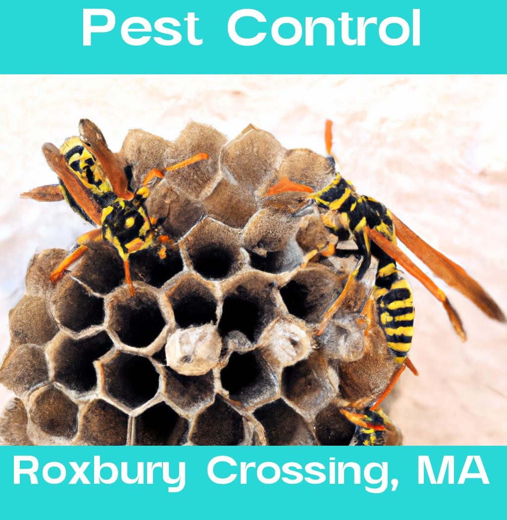 pest control in Roxbury Crossing Massachusetts