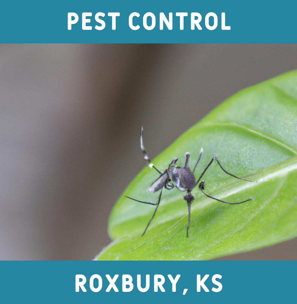 pest control in Roxbury Kansas