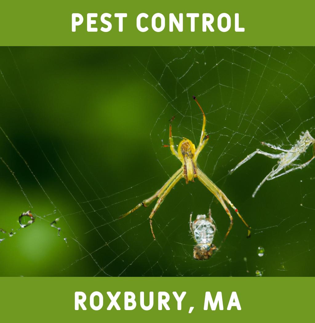 pest control in Roxbury Massachusetts