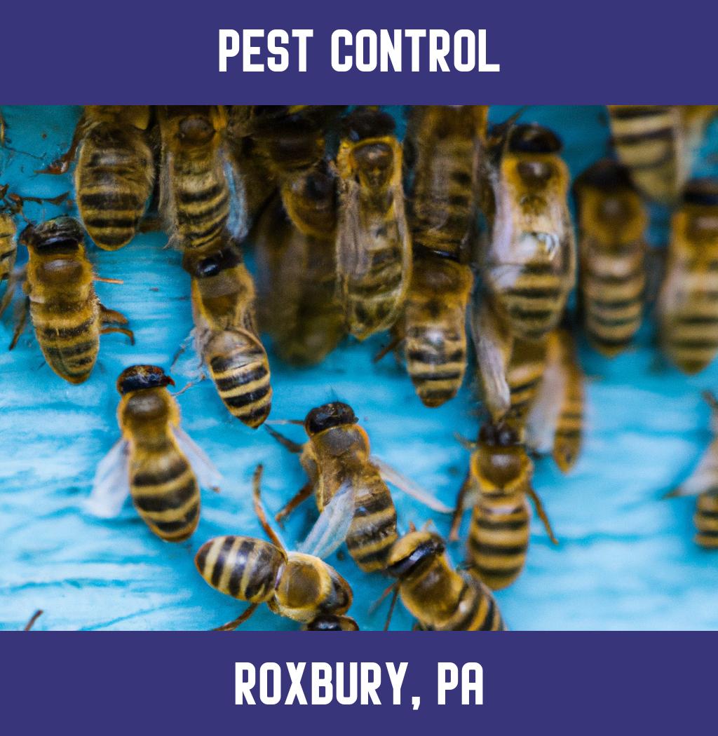 pest control in Roxbury Pennsylvania