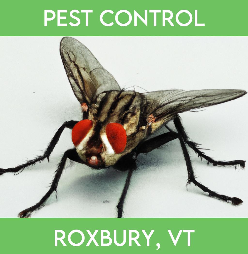 pest control in Roxbury Vermont