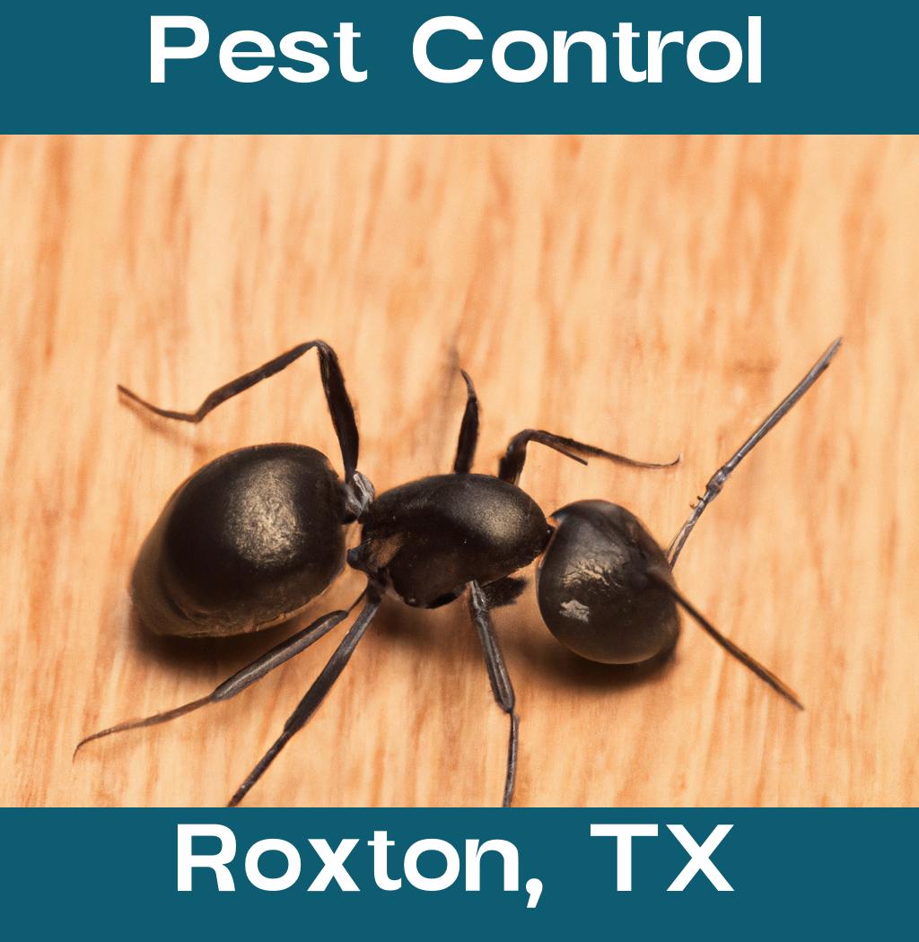 pest control in Roxton Texas