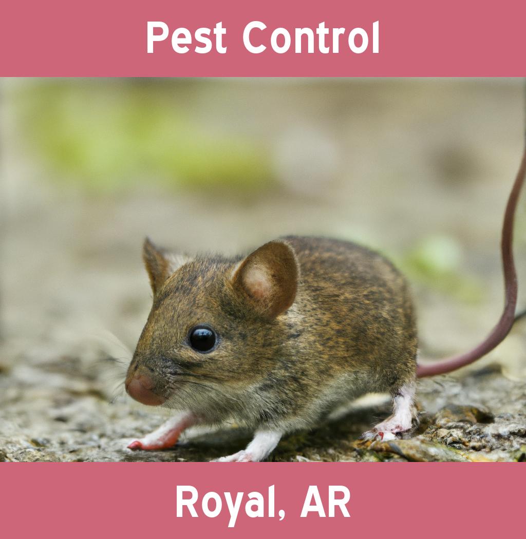 pest control in Royal Arkansas