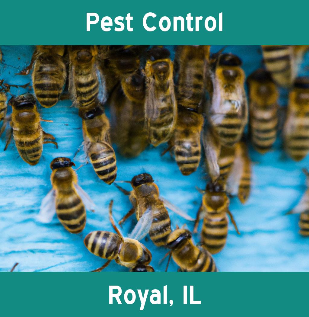 pest control in Royal Illinois