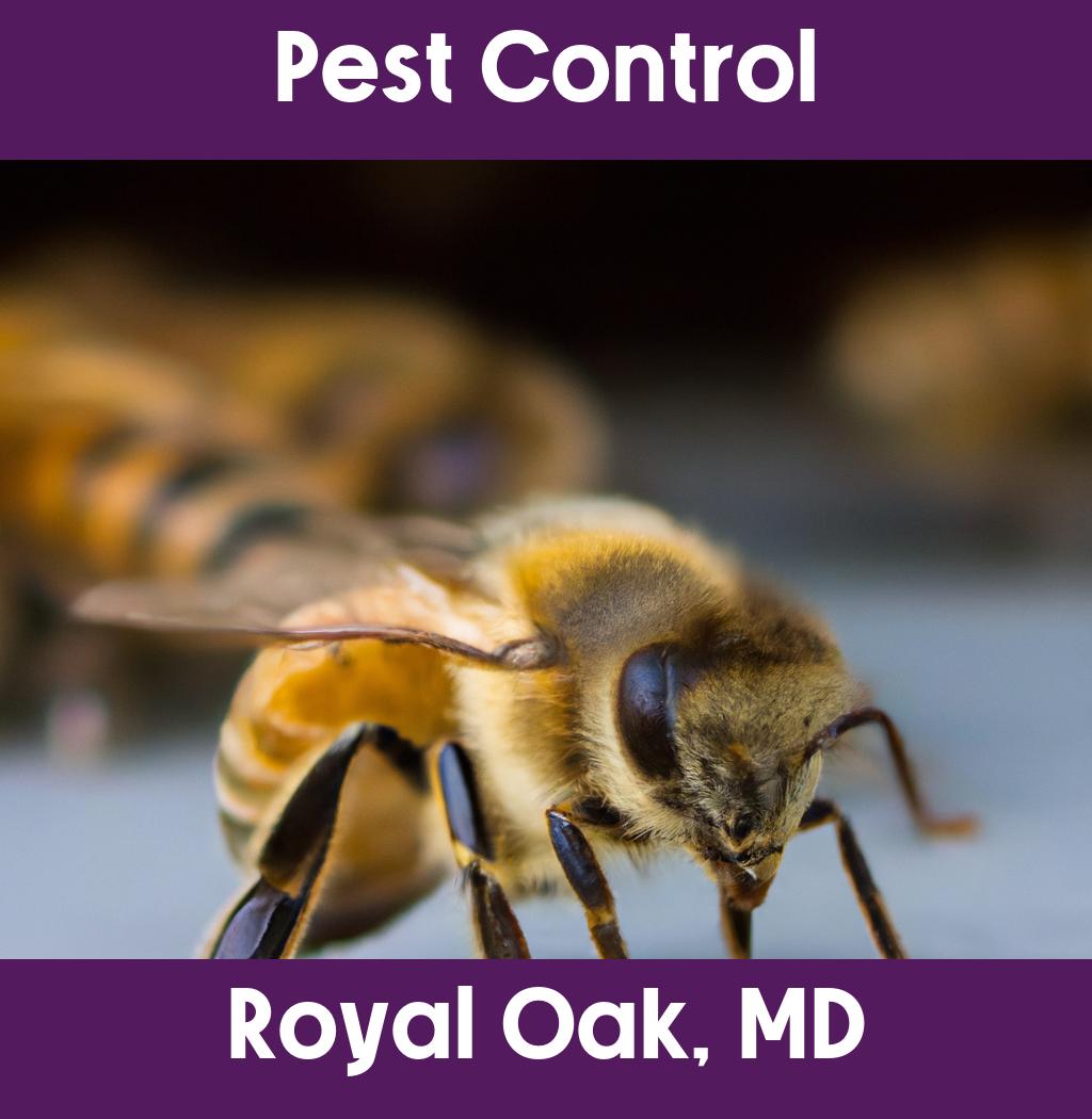 pest control in Royal Oak Maryland