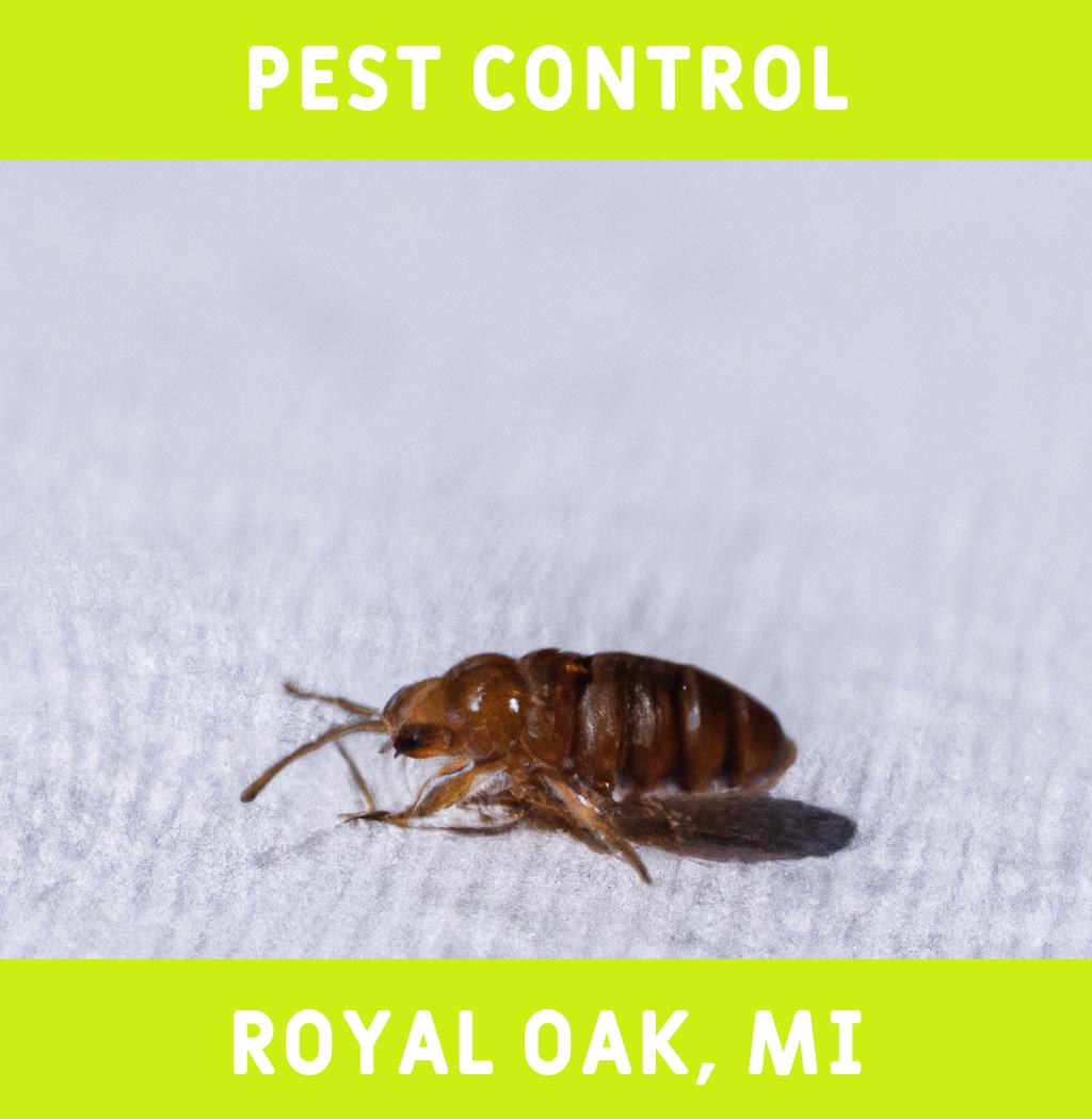 pest control in Royal Oak Michigan