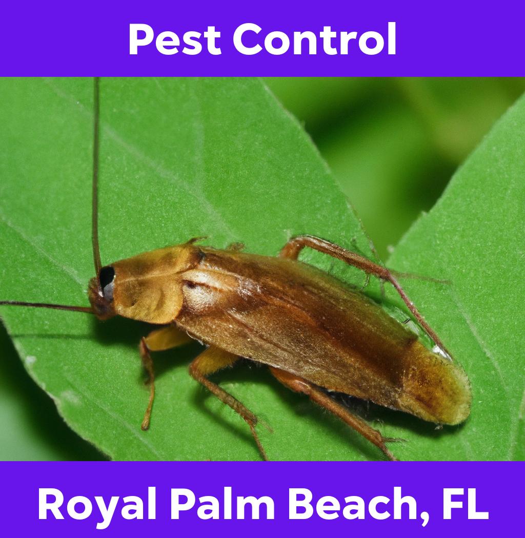 pest control in Royal Palm Beach Florida