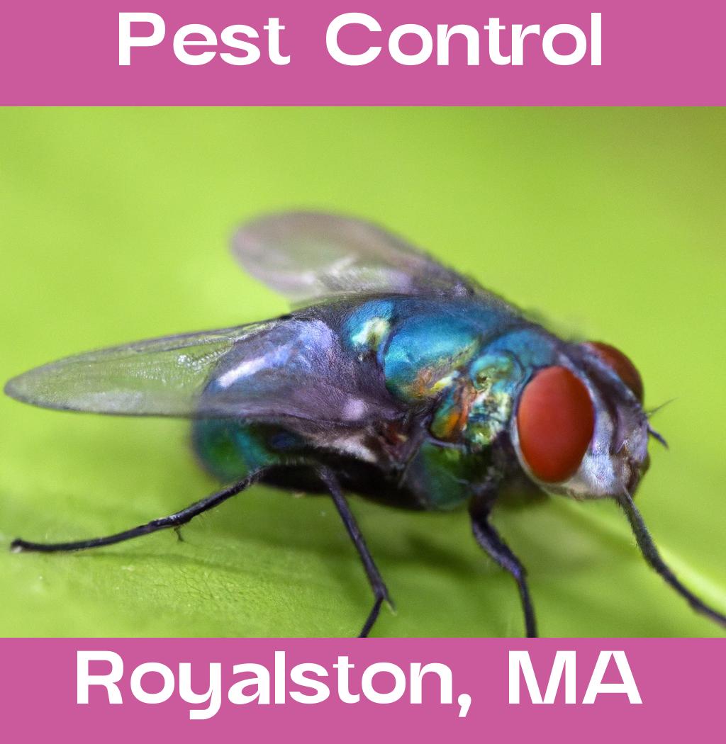 pest control in Royalston Massachusetts