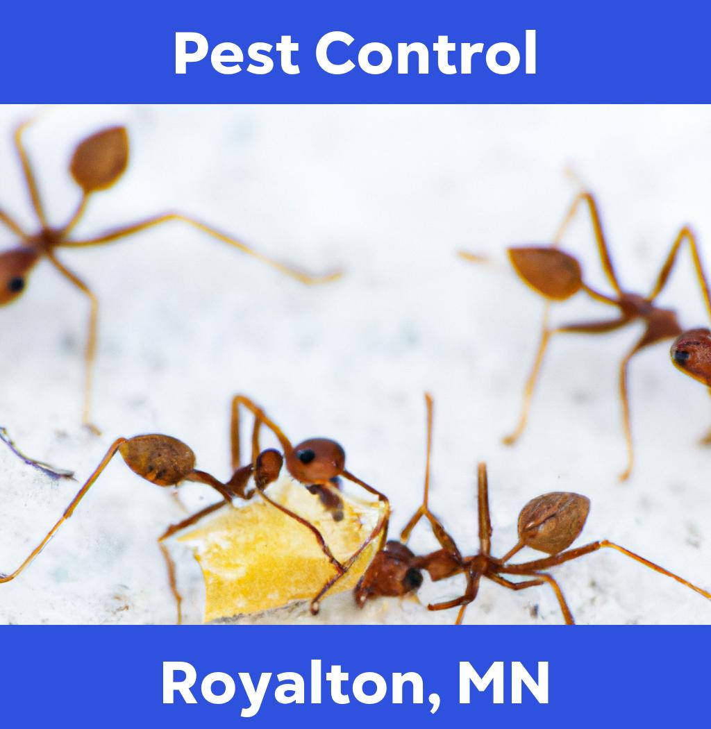 pest control in Royalton Minnesota
