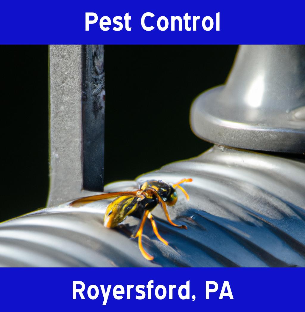 pest control in Royersford Pennsylvania